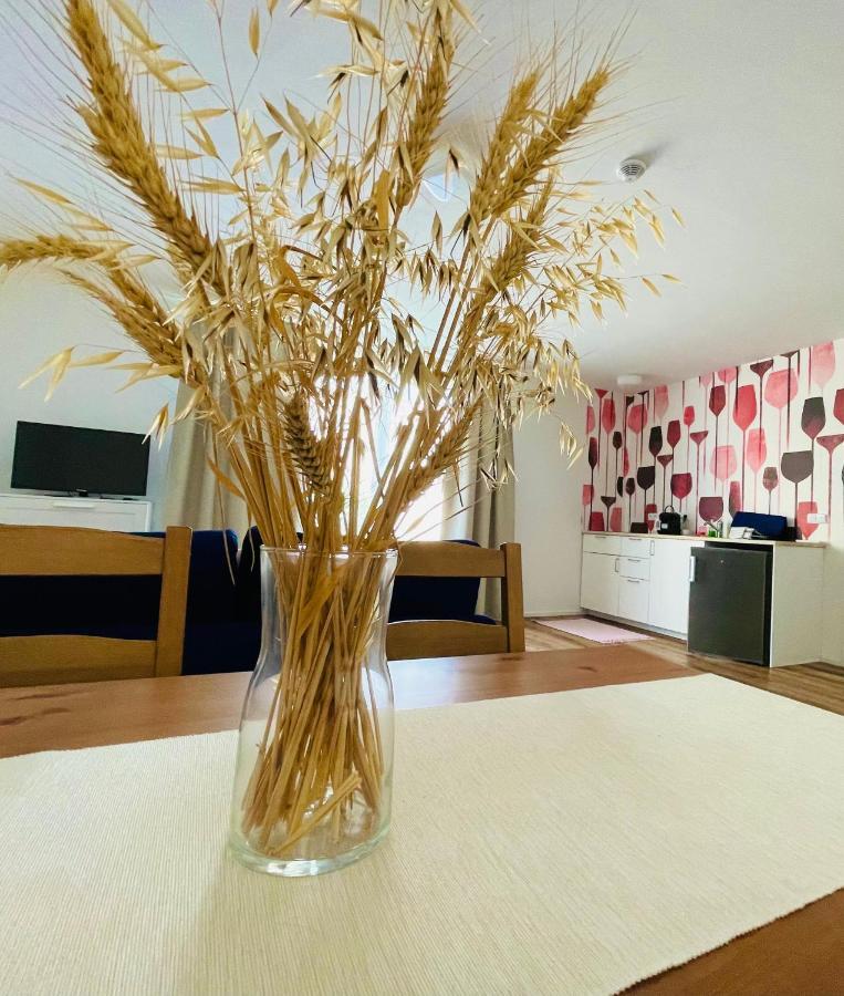 Appartement Pálavské Domky à Pasohlávky Extérieur photo