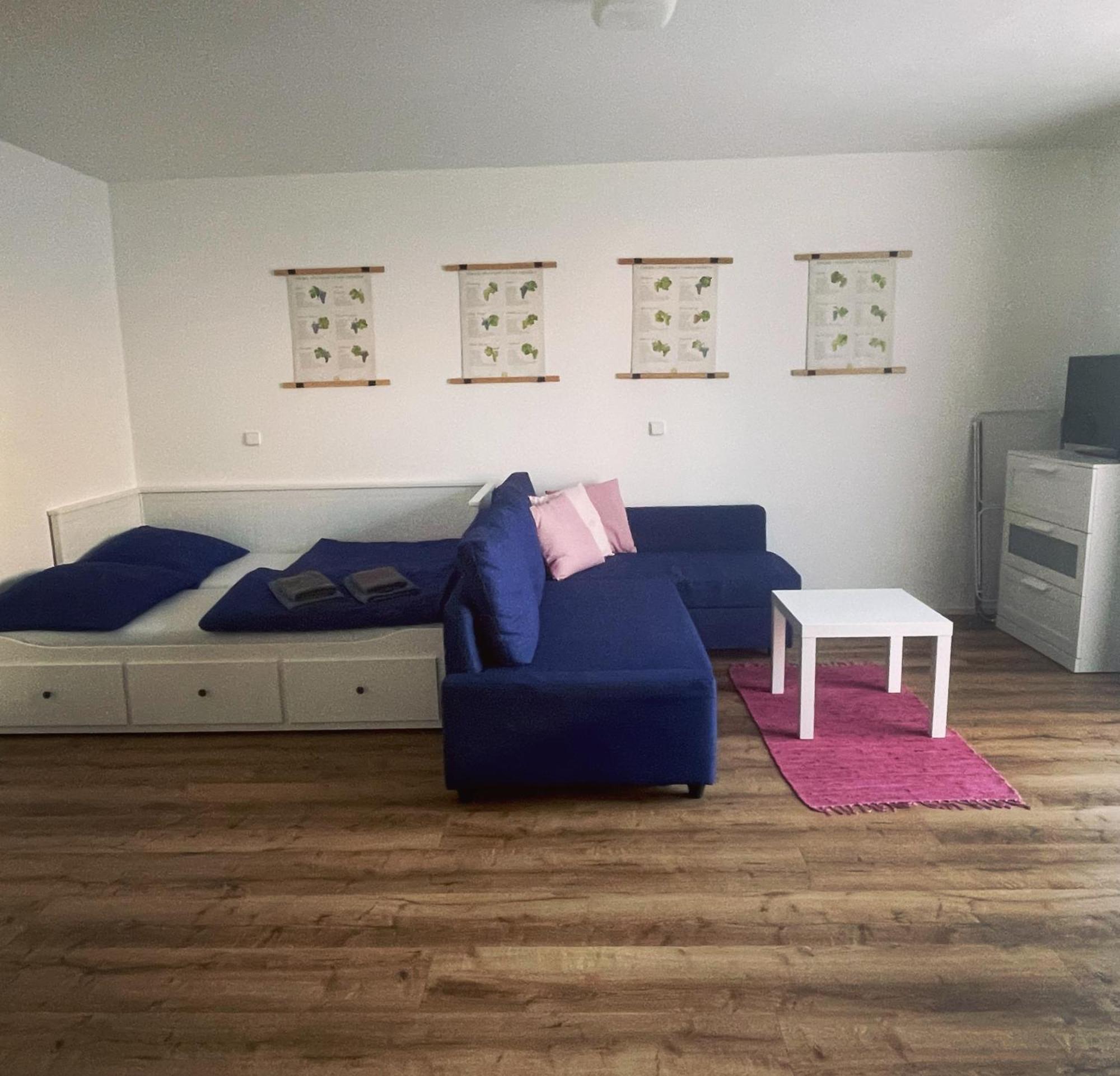 Appartement Pálavské Domky à Pasohlávky Extérieur photo